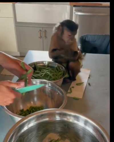 Kitchen helper!