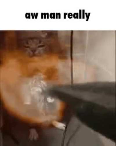 Minor inconvenience