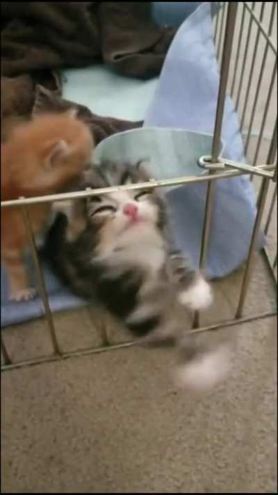to escape
