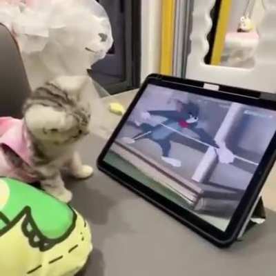 🤣🤣😸🐭