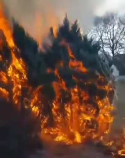 WCGW casually watching a fire burn and spread