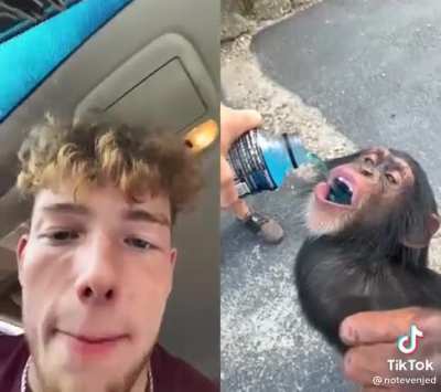Pure Primal Rage