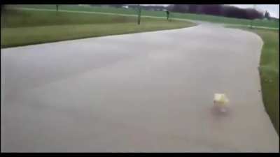 Why are you running?