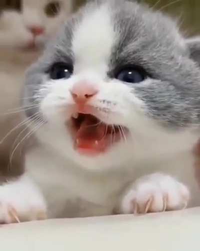 MAAAAAAA
