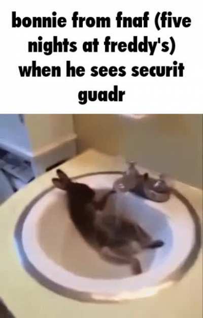 Idk, didn’t see the movie