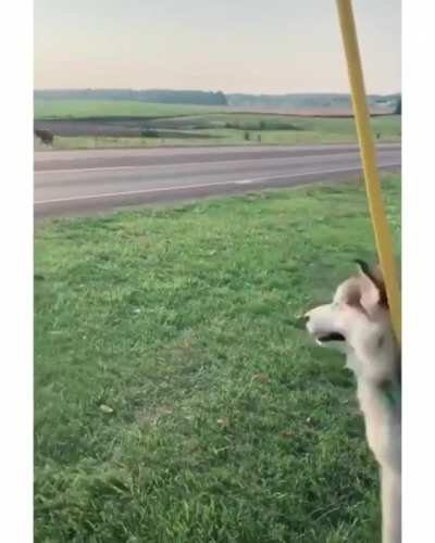 Who Put That There