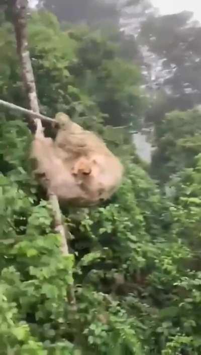 slow down buddy