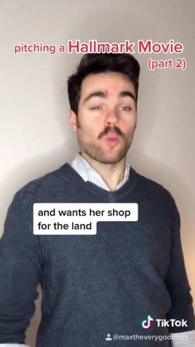 My second Hallmark Movie pitch