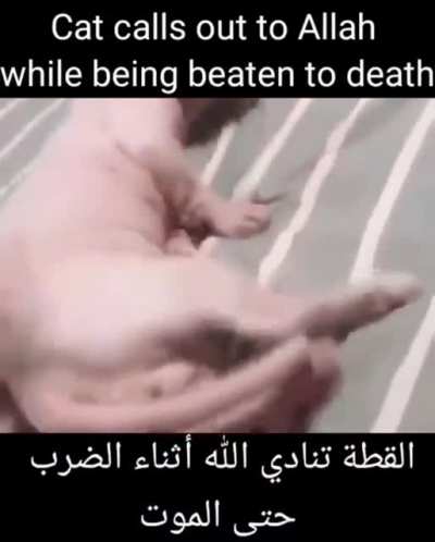 Allah