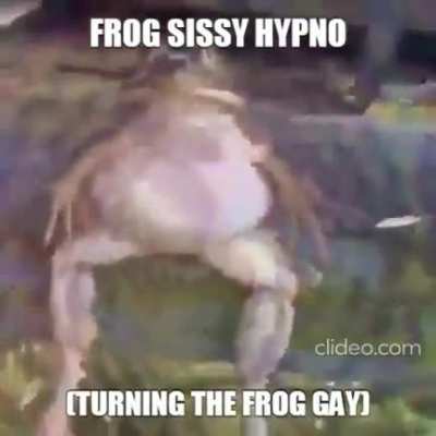 syssi hep no