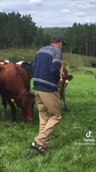 Cows love ✨jazz✨