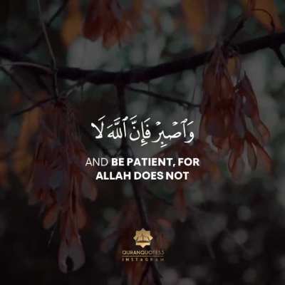 Quranic motivation!!
