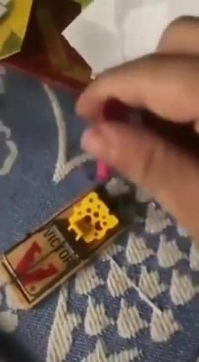Snap!