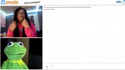 Kermit the Frog on Omegle