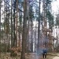 Trying to break a Tree