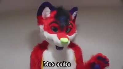 O melhor jeito de lidar com furrys