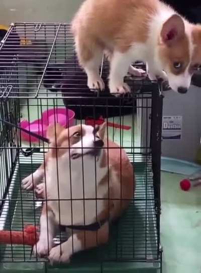 Why...