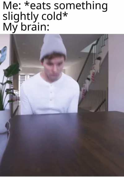 Brain: adios amigo
