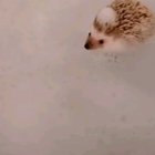 Bath time