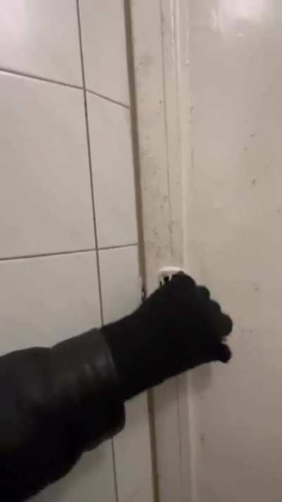 I wish I could draw (credit: Jack Carden)