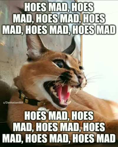 Flops Mad (comment for song requests)