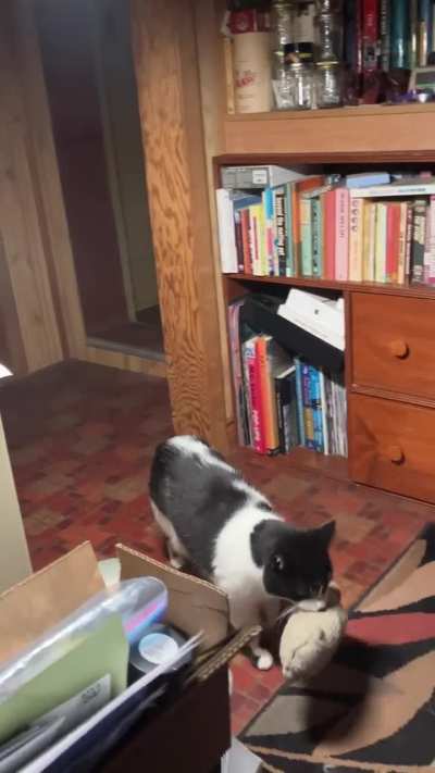 Gaz displays a vocal delivery of his sock stuffie… until the drop off
