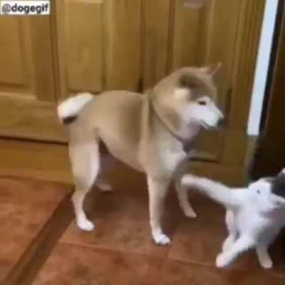 NO!!!