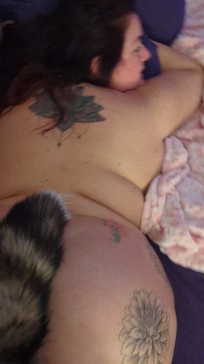 Tail plug sex