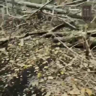 A Ukrainian soldier shows what happens to an 18 member anti-aircraft unit that got taken care of due to an a successful ambush in the Kharkiv region. Filmed by Datsyk. 