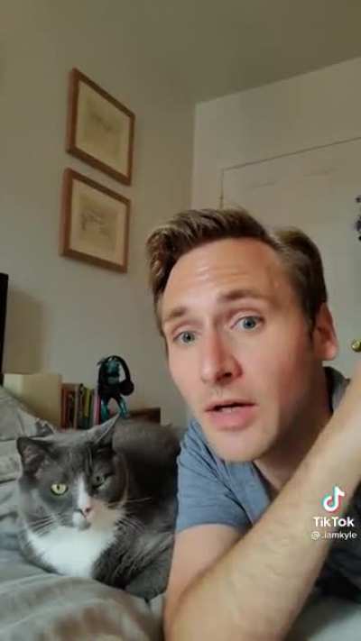 Gatekeeping a literal sound. Every pets cute, just let them be cute.