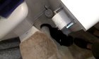 Black Panther trashes personal property