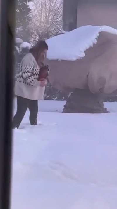 Stupid Santa!