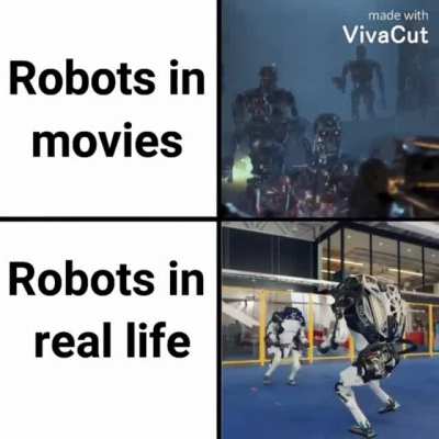 This meme is not made by Skynet