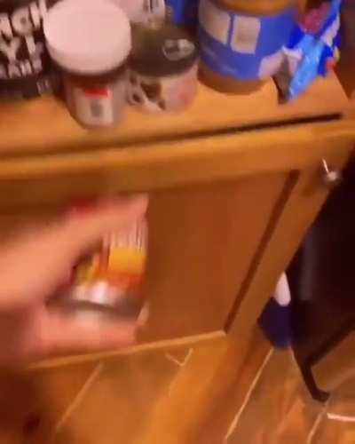 Beanee Weenee