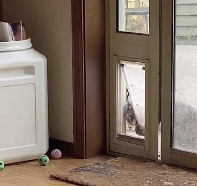 How do (cat) doors work again?