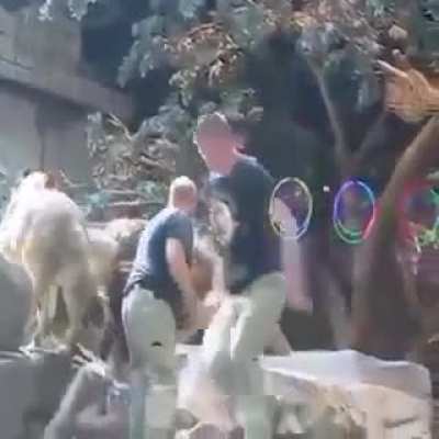 Maybe Maybe Maybe
