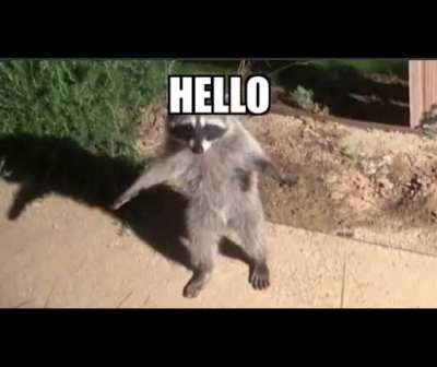 hello?