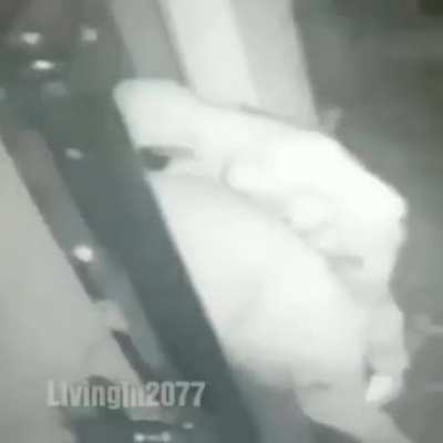 lil uzi nóia