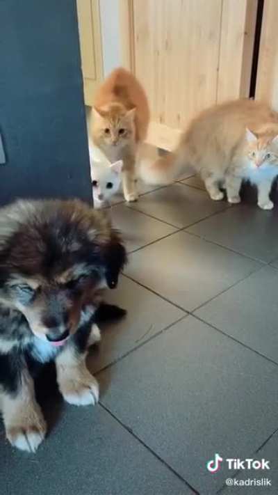 What IS that?