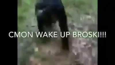 YOOOOOO!