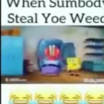 somebody stol my mans weedd😭😭😭 not the reefa lmao