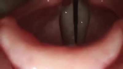 The coolest thing you will see (and hear) today! Make sure to turn sound on 🎧