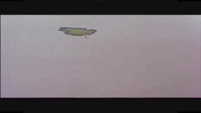 SEE LOOK IT'S REAL!