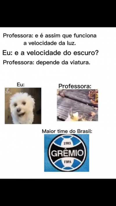 ShitpostBR - Video #4285