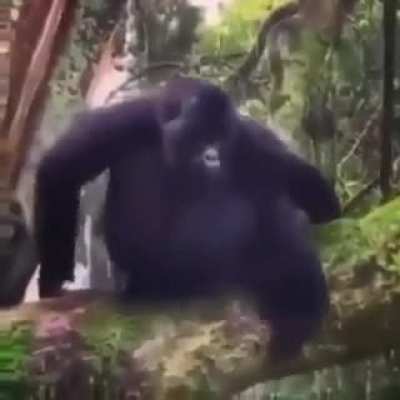 Ben düşmek!