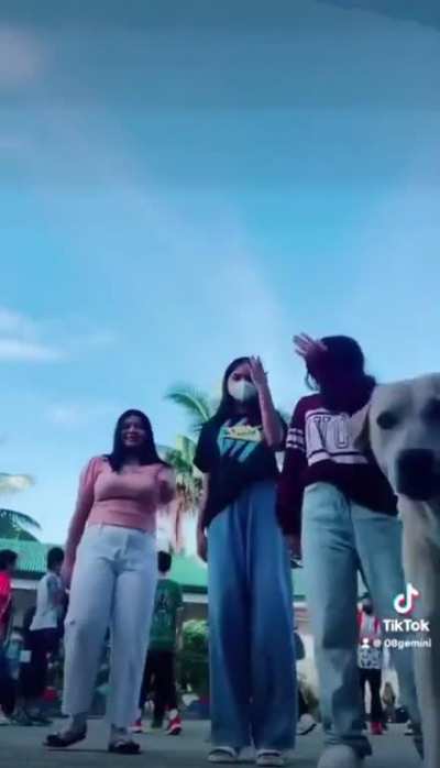 new tiktok dance