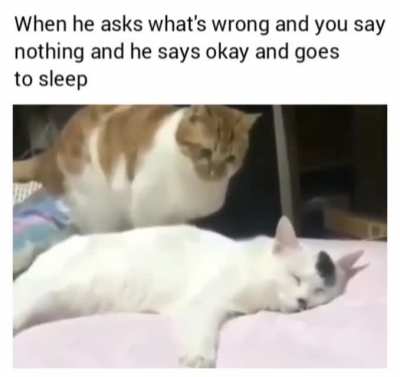 The audacity