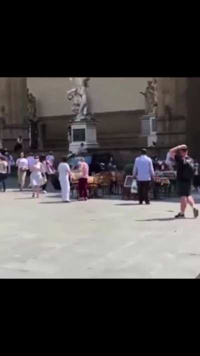 Carriage Horse on the loose
