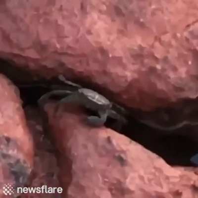 Don't mess with him