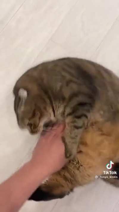 Нападение на толстяка
